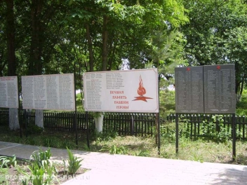 Фото братской могилы, расположенной в селе Петровка Петровского сельского поселения - фото 2