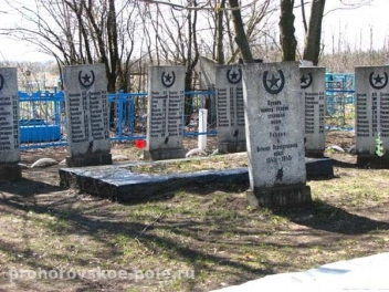 Фото братской могилы, расположенной в селе Красное Призначенского сельского поселения - фото 2